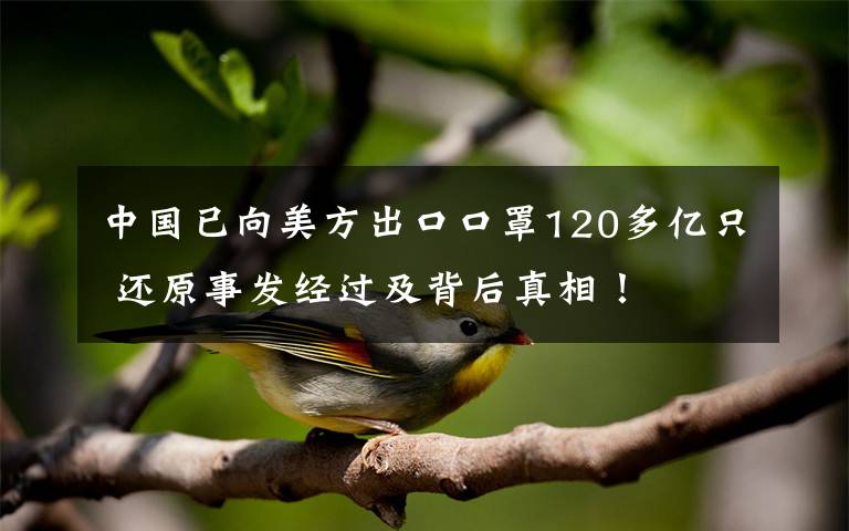 中国已向美方出口口罩120多亿只 还原事发经过及背后真相！