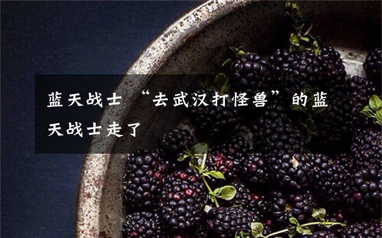 蓝天战士 “去武汉打怪兽”的蓝天战士走了