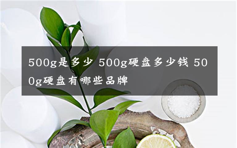 500g是多少 500g硬盘多少钱 500g硬盘有哪些品牌