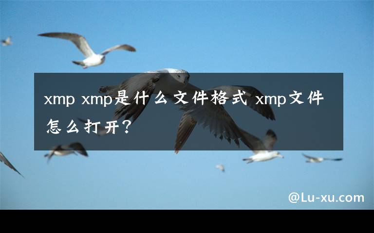 xmp xmp是什么文件格式 xmp文件怎么打开？