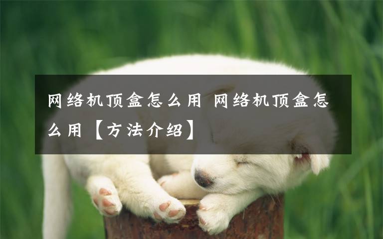 网络机顶盒怎么用 网络机顶盒怎么用【方法介绍】