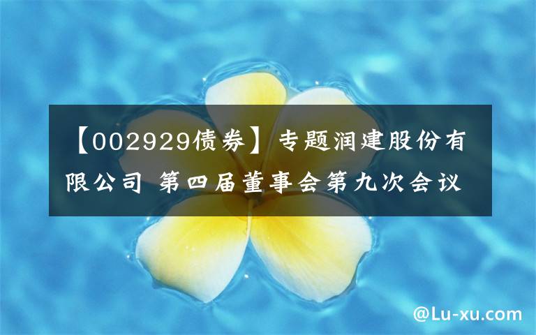 【002929债券】专题润建股份有限公司 第四届董事会第九次会议决议公告