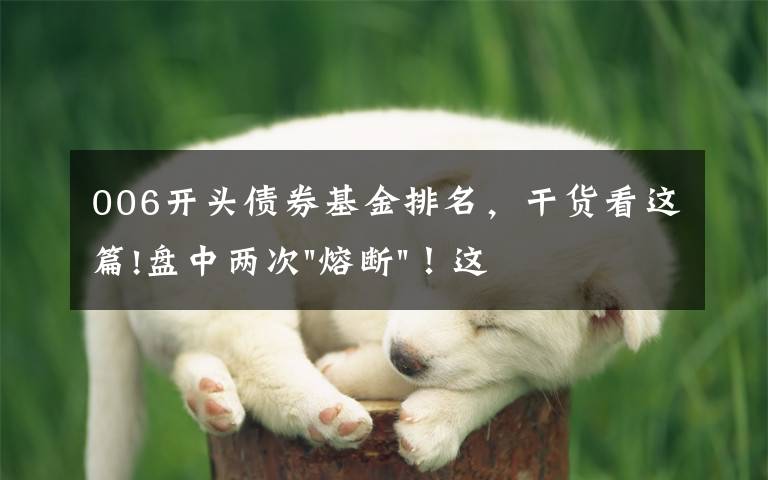 006开头债券基金排名，干货看这篇!盘中两次"熔断"！这个爆雷债券又大跌了