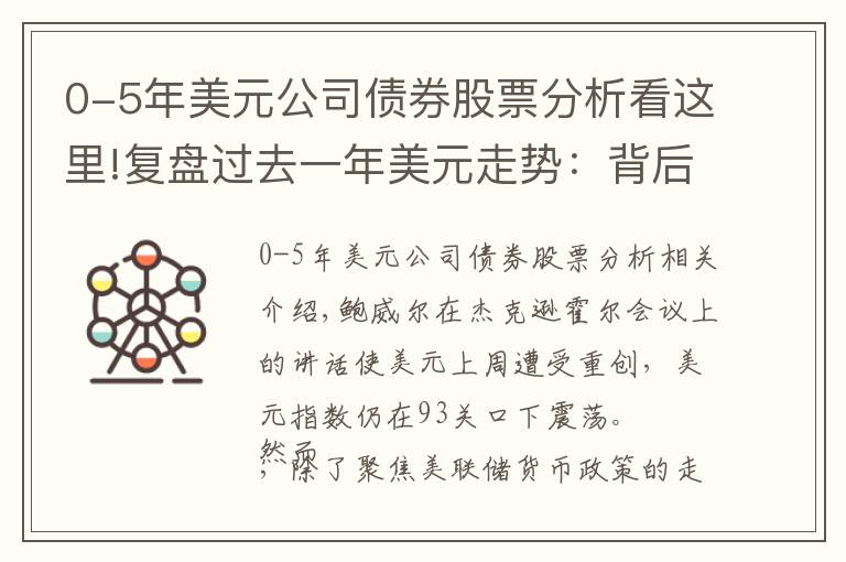 0-5年美元公司债券股票分析看这里!复盘过去一年美元走势：背后是什么力量驱动？