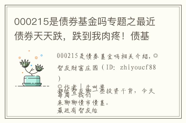 000215是债券基金吗专题之最近债券天天跌，跌到我肉疼！债基还能买吗？