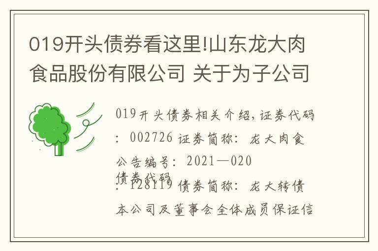 019开头债券看这里!山东龙大肉食品股份有限公司 关于为子公司提供担保的进展公告