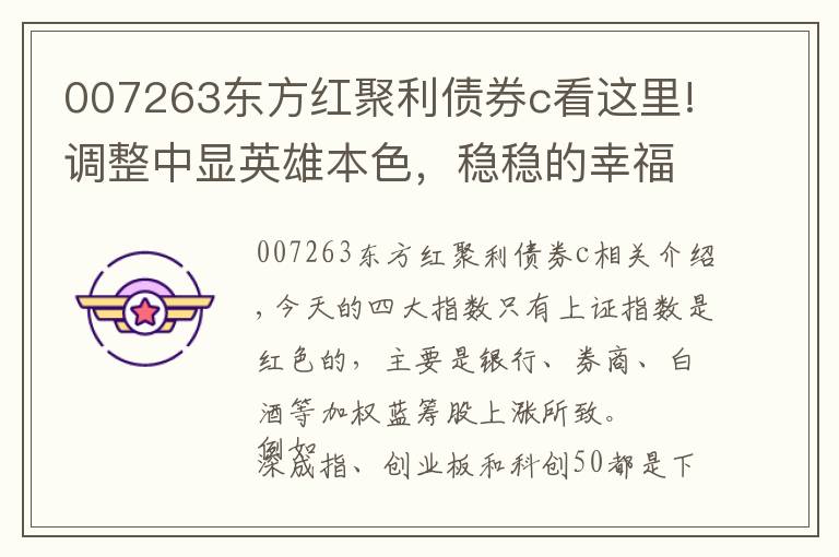 007263东方红聚利债券c看这里!调整中显英雄本色，稳稳的幸福和超稳的幸福基金组合今天表现不错