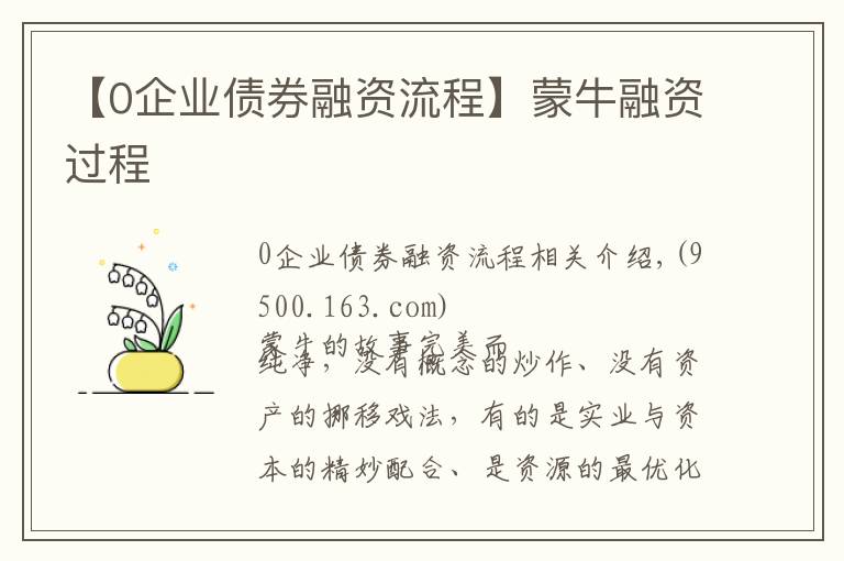 【0企业债券融资流程】蒙牛融资过程