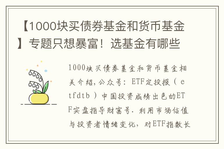 【1000块买债券基金和货币基金】专题只想暴富！选基金有哪些好办法？除了定投，投资基金有哪些技巧？