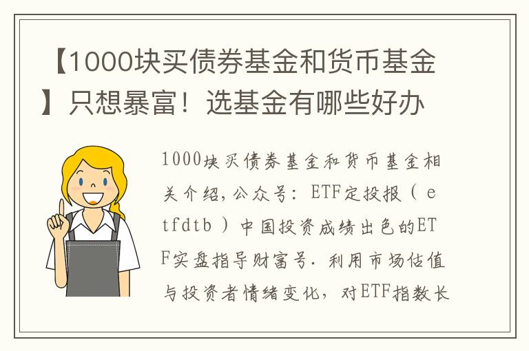 【1000块买债券基金和货币基金】只想暴富！选基金有哪些好办法？除了定投，投资基金有哪些技巧？