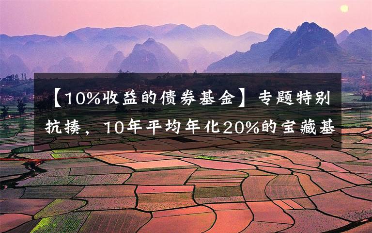 【10%收益的债券基金】专题特别抗揍，10年平均年化20%的宝藏基金...