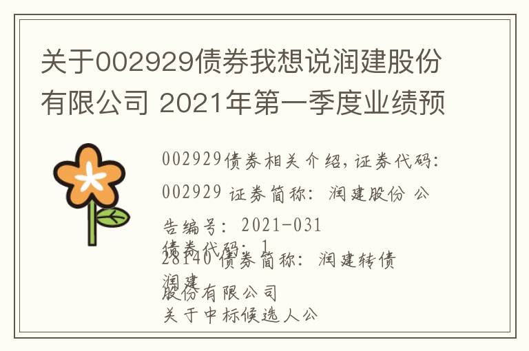 关于002929债券我想说润建股份有限公司 2021年第一季度业绩预告