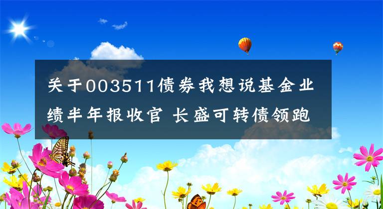 关于003511债券我想说基金业绩半年报收官 长盛可转债领跑债基