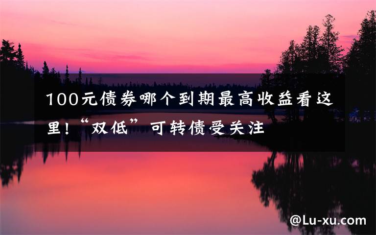 100元债券哪个到期最高收益看这里!“双低”可转债受关注