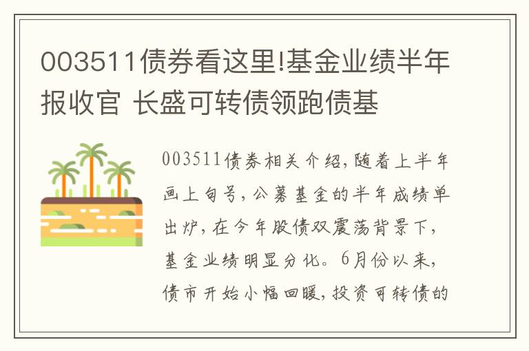 003511债券看这里!基金业绩半年报收官 长盛可转债领跑债基