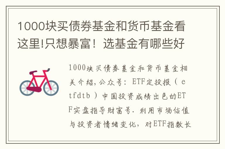 1000块买债券基金和货币基金看这里!只想暴富！选基金有哪些好办法？除了定投，投资基金有哪些技巧？