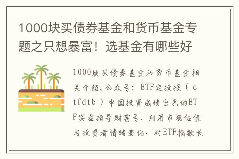 1000块买债券基金和货币基金专题之只想暴富！选基金有哪些好办法？除了定投，投资基金有哪些技巧？