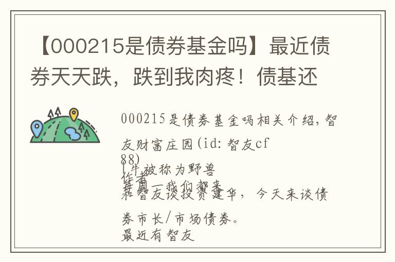 【000215是债券基金吗】最近债券天天跌，跌到我肉疼！债基还能买吗？