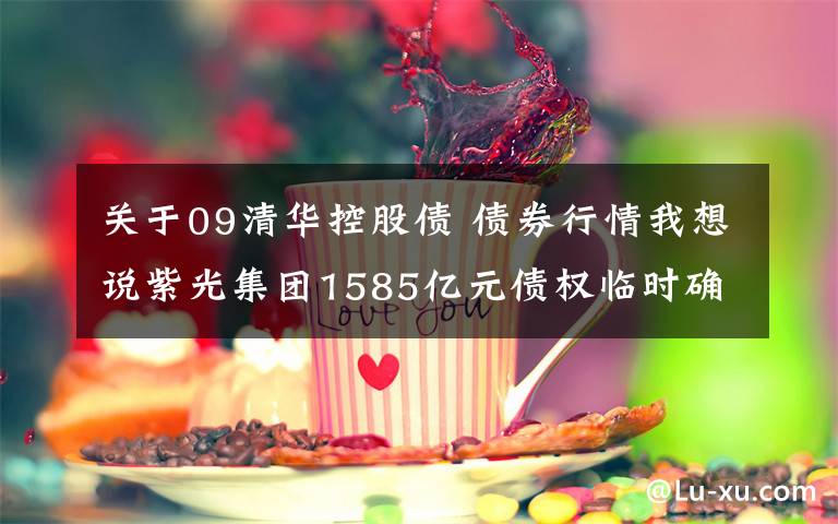 关于09清华控股债 债券行情我想说紫光集团1585亿元债权临时确权，重整方案整体出售有何考量？