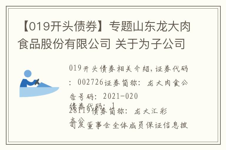 【019开头债券】专题山东龙大肉食品股份有限公司 关于为子公司提供担保的进展公告