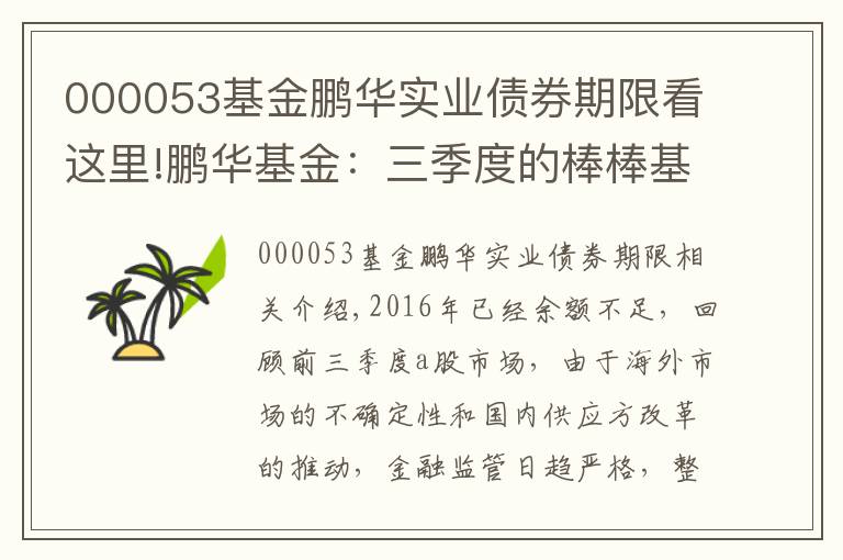 000053基金鹏华实业债券期限看这里!鹏华基金：三季度的棒棒基 |看基金经理如何玩转债券投资
