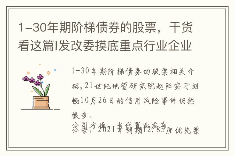 1-30年期阶梯债券的股票，干货看这篇!发改委摸底重点行业企业外债，上海启动“全域无隐性债务”试点，当代置业美元债违约被下调评级丨预警内参（第五十五期）