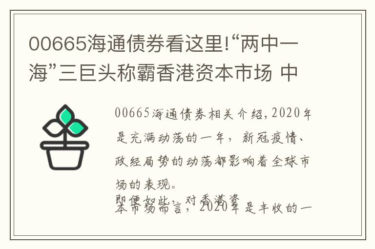 00665海通债券看这里!“两中一海”三巨头称霸香港资本市场 中金海通（00665）雄踞保荐承销榜首