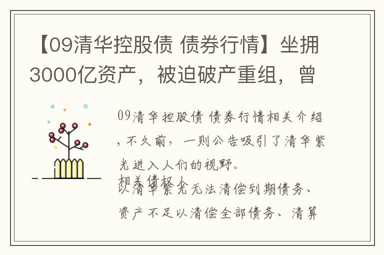 【09清华控股债 债券行情】坐拥3000亿资产，被迫破产重组，曾肩比华为的清华紫光怎么了？