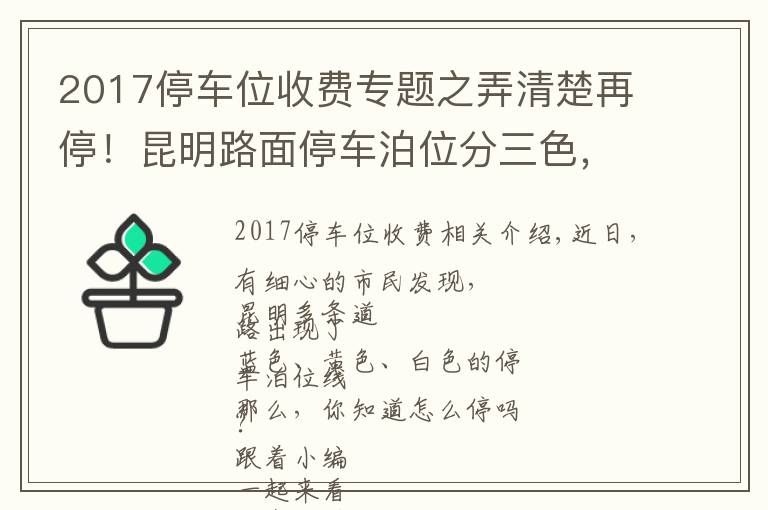 2017停车位收费专题之弄清楚再停！昆明路面停车泊位分三色，按半小时计费