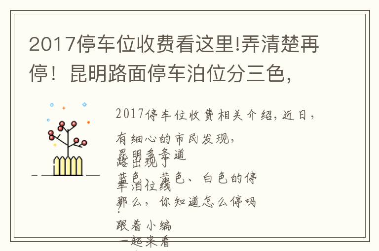 2017停车位收费看这里!弄清楚再停！昆明路面停车泊位分三色，按半小时计费