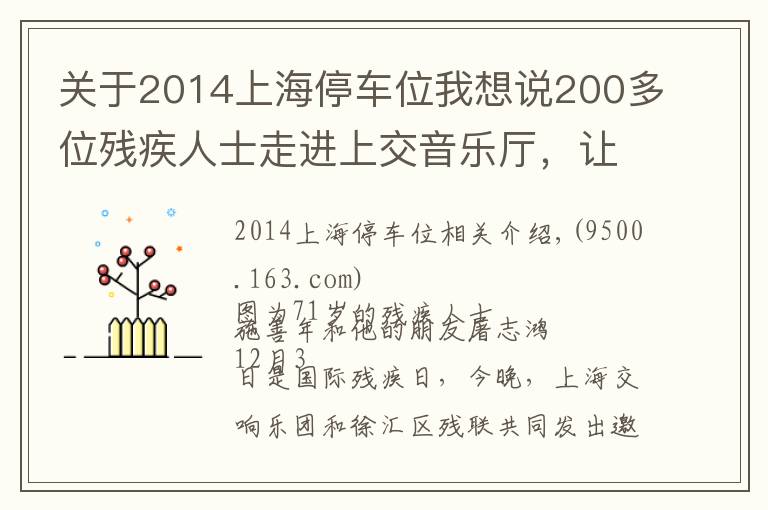 关于2014上海停车位我想说200多位残疾人士走进上交音乐厅，让艺术之光照拂特殊人群是城市软实力应有之意