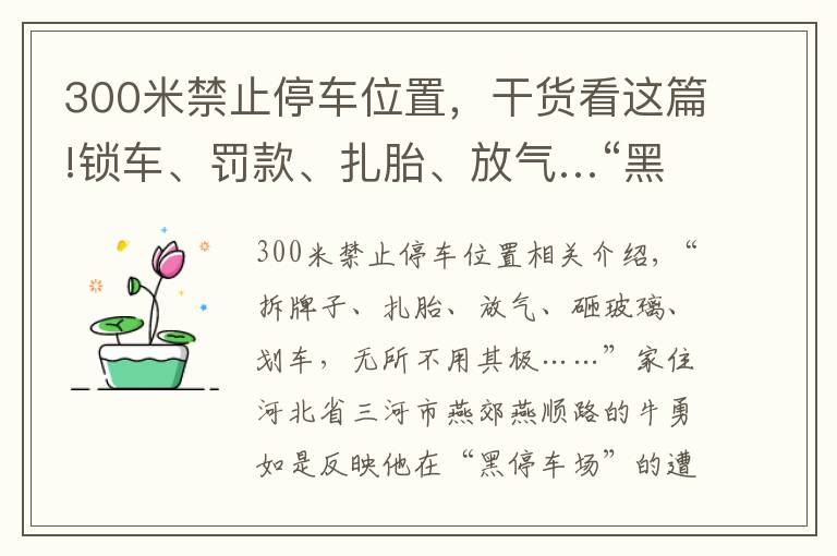 300米禁止停车位置，干货看这篇!锁车、罚款、扎胎、放气…“黑停车场”没人管得了