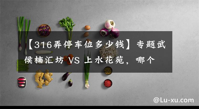 【316弄停车位多少钱】专题武侯楠汇坊 VS 上水花苑，哪个更宜居？