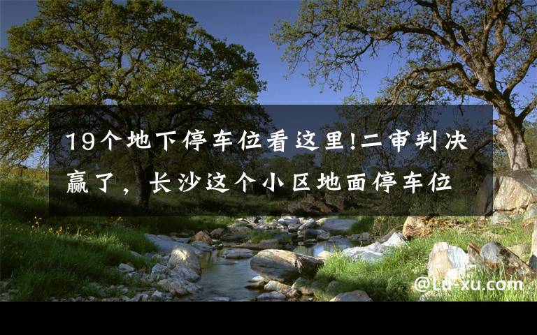 19个地下停车位看这里!二审判决赢了，长沙这个小区地面停车位归全体业主所有