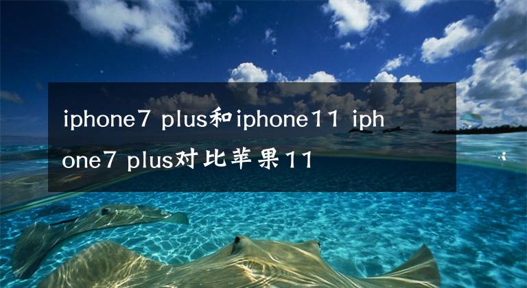 iphone7 plus和iphone11 iphone7 plus对比苹果11