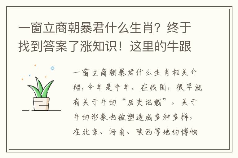 一窗立商朝暴君什么生肖？终于找到答案了涨知识！这里的牛跟你认识的可能不一样→