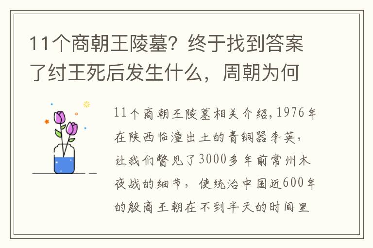 11个商朝王陵墓？终于找到答案了纣王死后发生什么，周朝为何背骂名也要挖殷商祖坟？考古发现真相