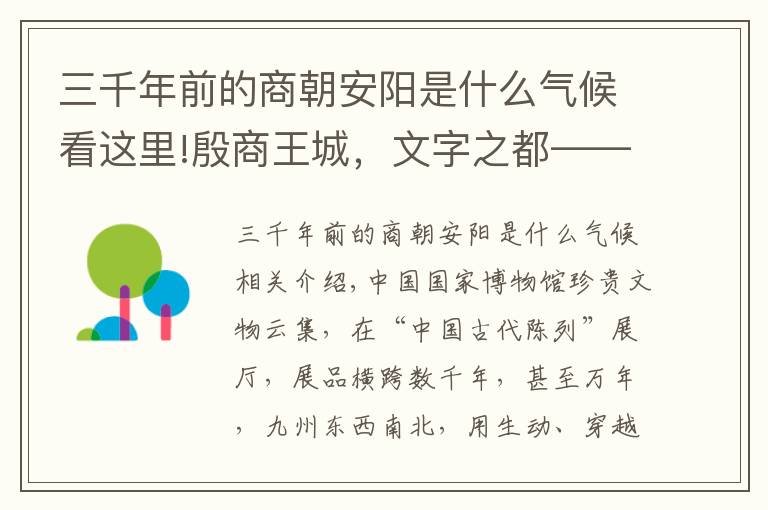 三千年前的商朝安阳是什么气候看这里!殷商王城，文字之都——“安阳”，从一只“乌龟”说起