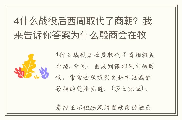 4什么战役后西周取代了商朝？我来告诉你答案为什么殷商会在牧野之战战败后，迅速土崩瓦解了？