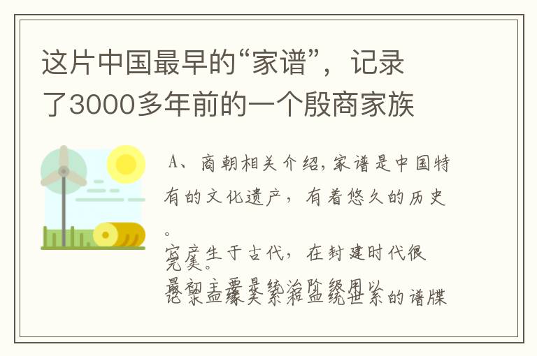 这片中国最早的“家谱”，记录了3000多年前的一个殷商家族