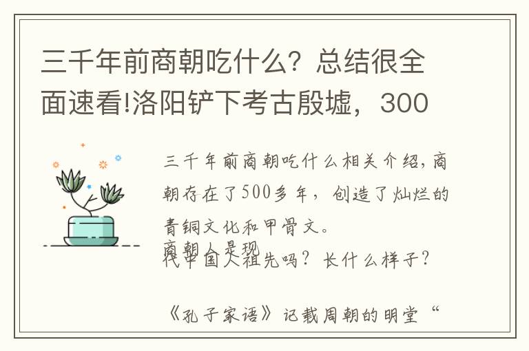 三千年前商朝吃什么？总结很全面速看!洛阳铲下考古殷墟，3000年前商朝人长什么样子？