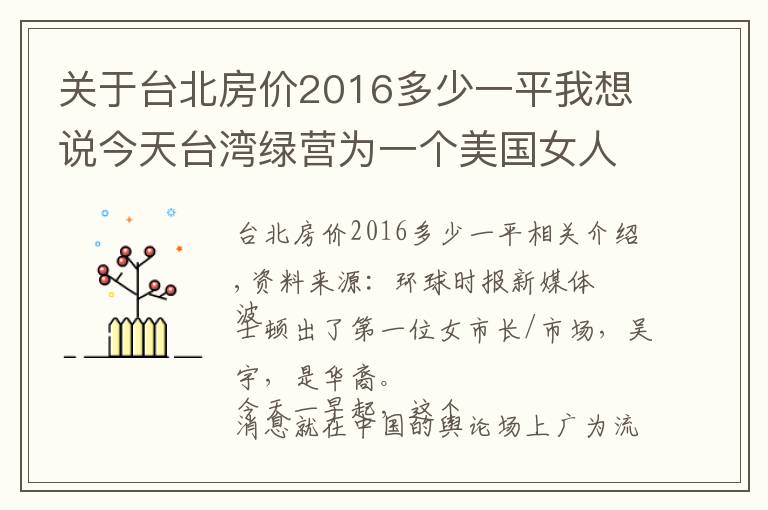 关于台北房价2016多少一平我想说今天台湾绿营为一个美国女人欢呼雀跃