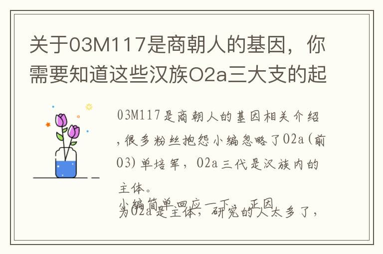 关于03M117是商朝人的基因，你需要知道这些汉族O2a三大支的起源、势力划分