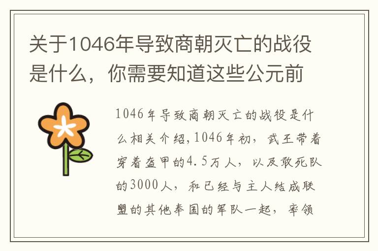 关于1046年导致商朝灭亡的战役是什么，你需要知道这些公元前1046年 武王伐纣 牧野之战爆发