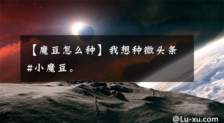 【魔豆怎么种】我想种微头条#小魔豆。