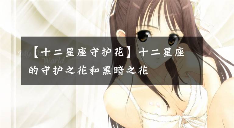 【十二星座守护花】十二星座的守护之花和黑暗之花