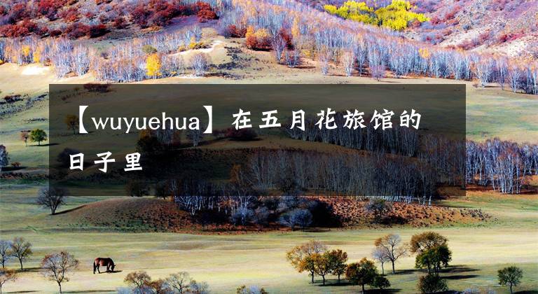 【wuyuehua】在五月花旅馆的日子里