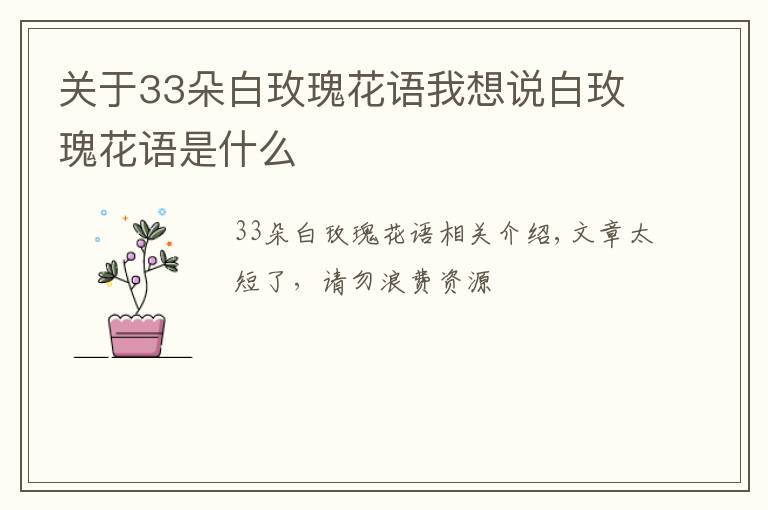 关于33朵白玫瑰花语我想说白玫瑰花语是什么