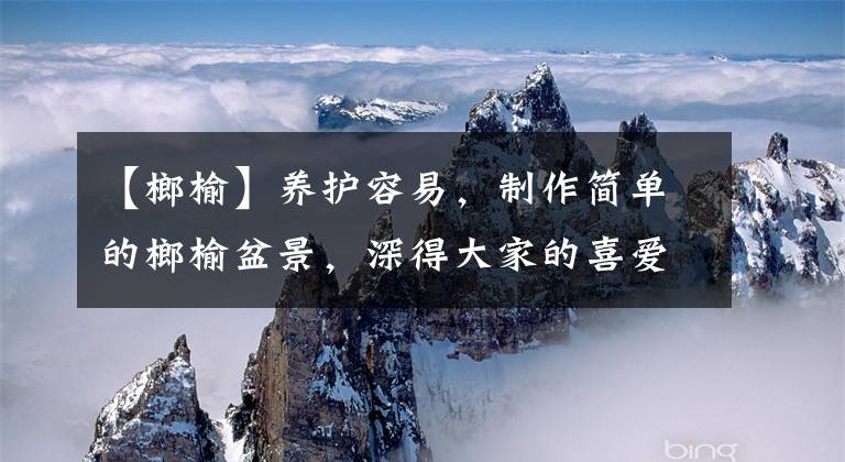 【榔榆】养护容易，制作简单的榔榆盆景，深得大家的喜爱，价值也很高