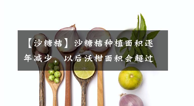 【沙糖桔】沙糖桔种植面积逐年减少，以后沃柑面积会超过沙糖桔吗？